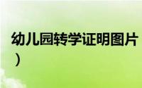 幼儿园转学证明图片（幼儿园转学证明怎么开）