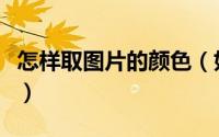 怎样取图片的颜色（如何对图片颜色进行取色）