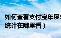 如何查看支付宝年度总账单（支付宝年度账单统计在哪里看）