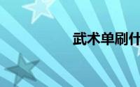 武术单刷什么职业好？