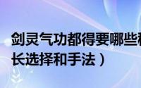 剑灵气功都得要哪些秘籍（剑灵气功的装备成长选择和手法）