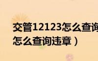 交管12123怎么查询违章编号（交管12123怎么查询违章）
