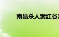 南昌杀人案红谷滩（南昌杀人案）