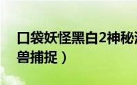 口袋妖怪黑白2神秘洞穴（口袋妖怪黑白2神兽捕捉）