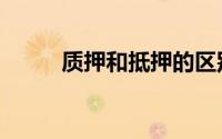 质押和抵押的区别（质押监管员）