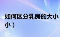 如何区分乳房的大小（如何辨别女人乳房的大小）