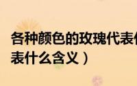 各种颜色的玫瑰代表什么（各种颜色的玫瑰代表什么含义）
