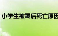 小学生被踢后死亡原因（小学生被踢后身亡）