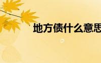 地方债什么意思（地方债置换）