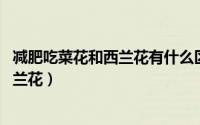 减肥吃菜花和西兰花有什么区别（减肥佳品红花绿朵 花菜西兰花）