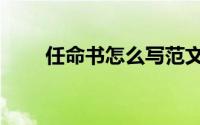 任命书怎么写范文（任命书怎么写）