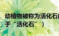 动植物被称为活化石的有哪些（哪些动植物属于“活化石”）
