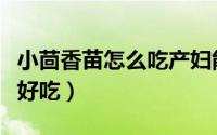 小茴香苗怎么吃产妇能吃吗（小茴香苗怎么做好吃）
