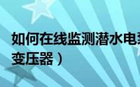 如何在线监测潜水电泵的振动（如何在线监测变压器）