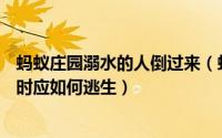 蚂蚁庄园溺水的人倒过来（蚂蚁庄园7.23公交车涉水被困住时应如何逃生）