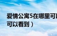 爱情公寓5在哪里可以看（爱情公寓5在哪里可以看到）