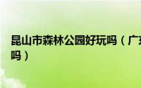 昆山市森林公园好玩吗（广东南昆山国家森林公园旅游好玩吗）