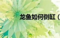 龙鱼如何倒缸（龙鱼如何养殖）