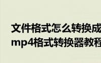 文件格式怎么转换成mp4（mp4是什么格式mp4格式转换器教程）