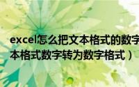 excel怎么把文本格式的数字转化为数字（excel中如何将文本格式数字转为数字格式）