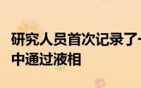 研究人员首次记录了一种生物体在其发育过程中通过液相