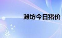 潍坊今日猪价（潍坊一夜情）