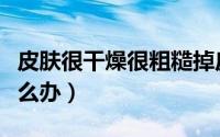 皮肤很干燥很粗糙掉皮（皮肤很干燥很粗糙怎么办）