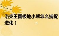 洛克王国极地小熊怎么捕捉（洛克王国“极地小熊”怎么超进化）