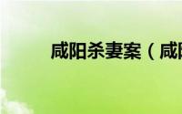 咸阳杀妻案（咸阳持刀杀人案件）