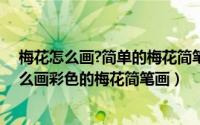 梅花怎么画?简单的梅花简笔画教程（梅花简笔画怎么画怎么画彩色的梅花简笔画）