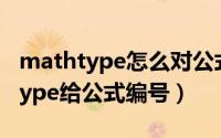 mathtype怎么对公式编号（怎么使用Mathtype给公式编号）