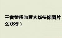 王者荣耀伽罗太华头像图片（王者荣耀伽罗太华专属表情怎么获得）