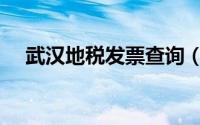 武汉地税发票查询（武汉地税发票查询）