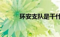 环安支队是干什么的（环安课）