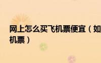 网上怎么买飞机票便宜（如何在网上订便宜的飞机票/特价机票）