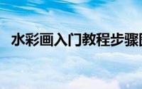 水彩画入门教程步骤图（水彩画入门教程）