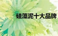 硅藻泥十大品牌（硅藻泥效果图）