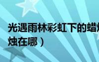 光遇雨林彩虹下的蜡烛（光遇雨林彩虹下的蜡烛在哪）