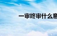 一审终审什么意思（一审终审）