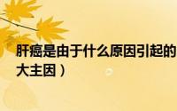 肝癌是由于什么原因引起的（肝癌是什么原因引起的肝癌3大主因）
