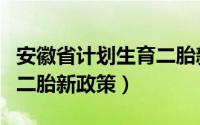 安徽省计划生育二胎新政策（安徽省计划生育二胎新政策）