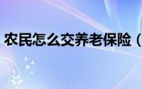 农民怎么交养老保险（农民怎么交养老保险）