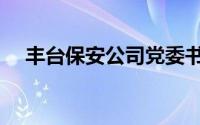 丰台保安公司党委书记（丰台保安公司）