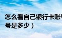 怎么看自己银行卡账号（怎么看自己银行卡账号是多少）
