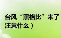 台风“黑格比”来了（台风黑格比登陆后应该注意什么）