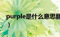 purple是什么意思翻译（purple是什么意思）