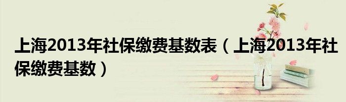 上海2013年社保缴费基数表（上海2013年社保缴费基数）