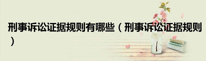刑事诉讼证据规则有哪些（刑事诉讼证据规则）