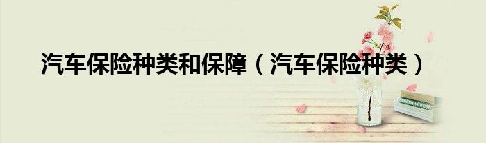 汽车保险种类和保障（汽车保险种类）