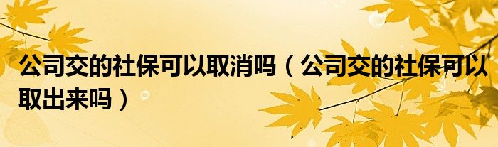 公司交的社保可以取消吗（公司交的社保可以取出来吗）
